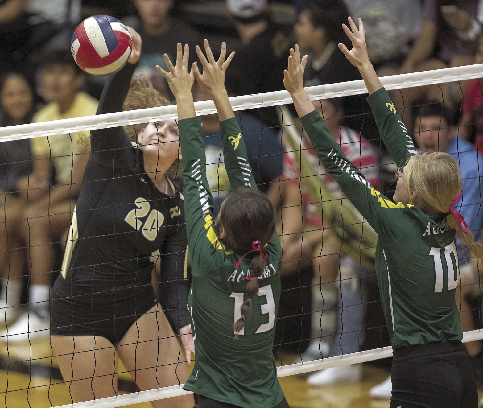 Lady Eagles and Lady Bees
